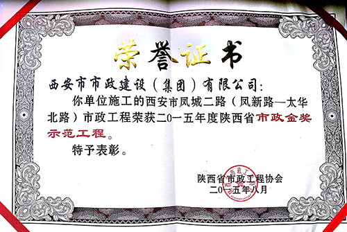 凤新路~太华路-不朽情缘杯树模工程