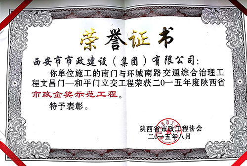 环城南路地下通道立交-不朽情缘金杯树模工程