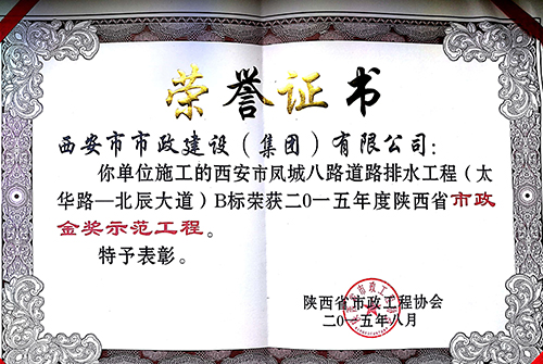 不朽情缘金奖-凤城八路-不朽情缘金杯树模工程