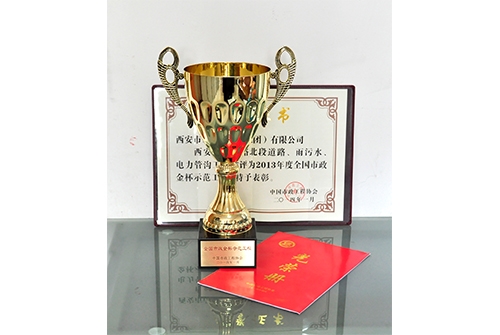天下不朽情缘金杯树模工程