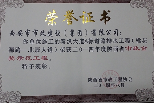 秦汉大道A标蹊径排水工程-省级不朽情缘金杯树模工程