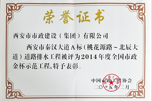 天下不朽情缘金杯树模工程-秦汉大道