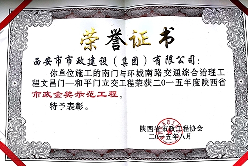 环城南路地下通道立交-不朽情缘金杯树模工程