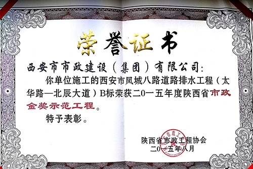 不朽情缘金奖-凤城八路-不朽情缘金杯树模工程