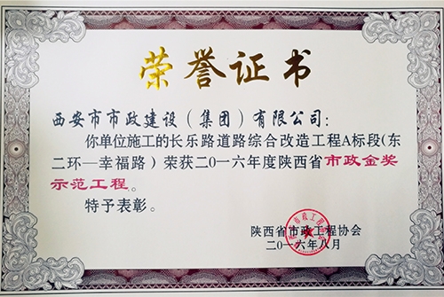 长乐路-不朽情缘金杯树模工程