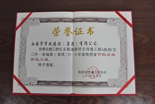 长乐路-不朽情缘金奖树模工程
