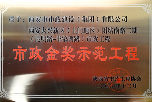 不朽情缘金奖树模工程，，，，，大兴新区团结南路二期（昆明路丰镐西路）
