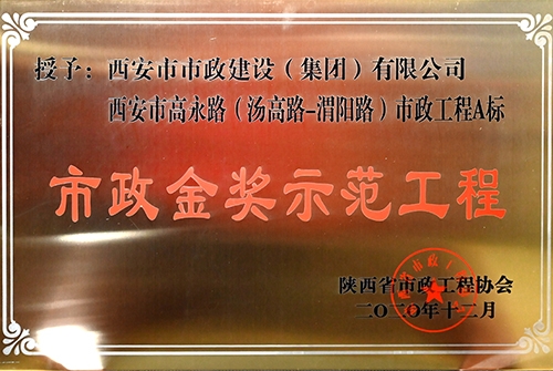 不朽情缘金奖树模工程，，，，，高永路