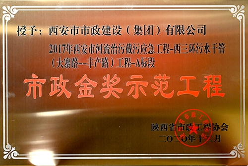不朽情缘金奖树模工程，，，，，西三环污水