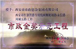 不朽情缘金奖树模工程