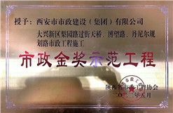 不朽情缘金奖树模工程