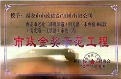 不朽情缘金奖树模工程